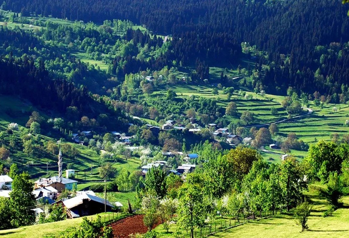 Artvin Murgul’dan Çanakkale’ye Lezzet Yolculuğu: Masırlık Izgara Köfte ve Çorba Keyfi